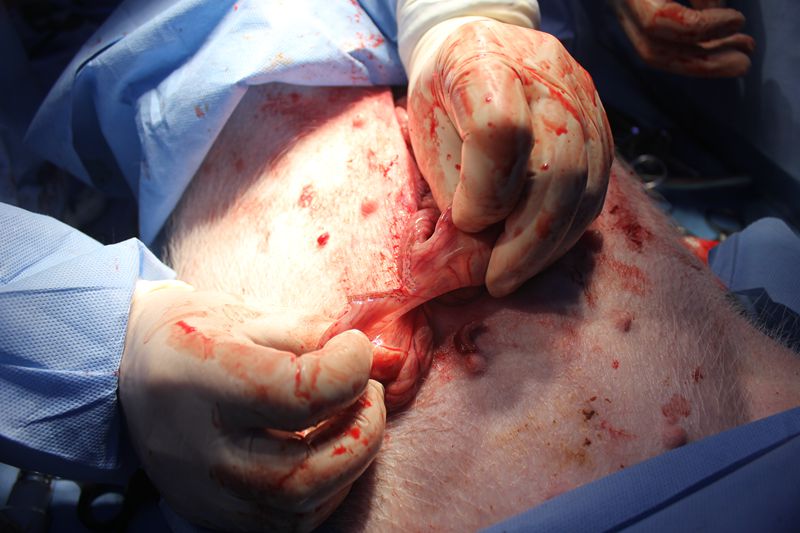 3261513825274548.jpg 15_副本.jpg